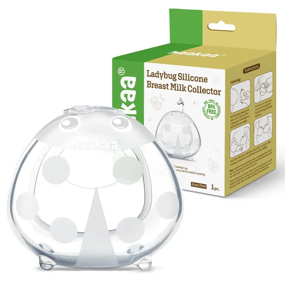 Cocccinelle de recueil en silicone